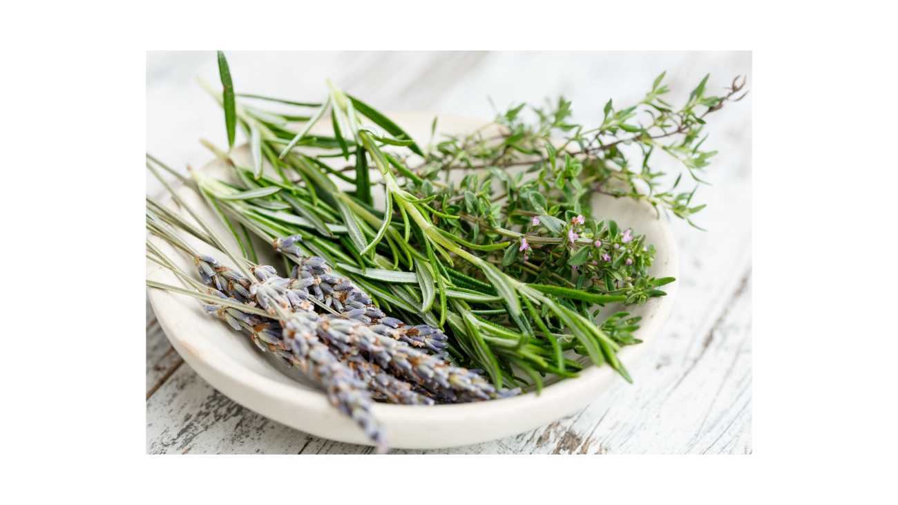 Rosemary and Thyme Soap - A Wonderful Herbal Combination